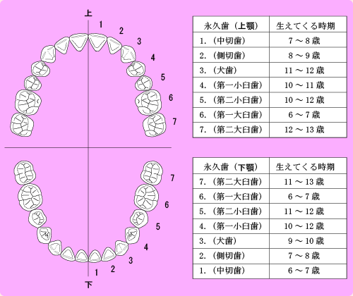 悤IvZ܂郊nr