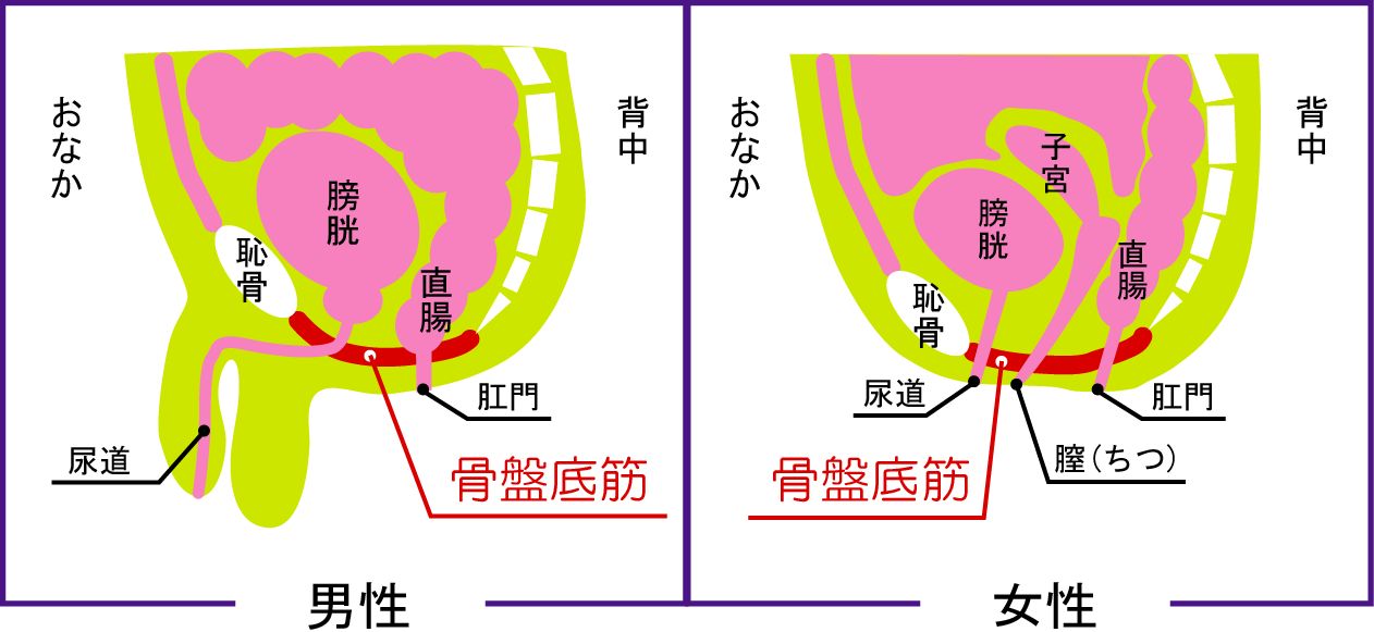 悤IvZ܂郊nr