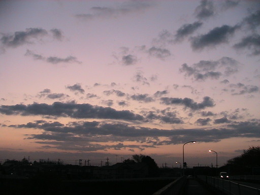 ina-p