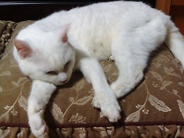 ��ǔL�̏���