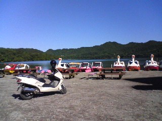 ���Ԃ낣�̕���