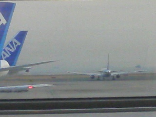 ���Ԃ낣�̕���