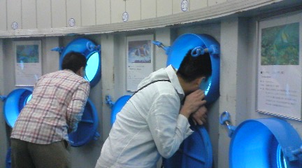 ���Ԃ낣�̕���