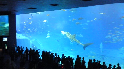 ���Ԃ낣�̕���