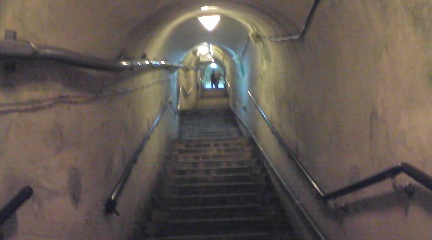 ���Ԃ낣�̕���