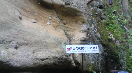 ���Ԃ낣�̕���