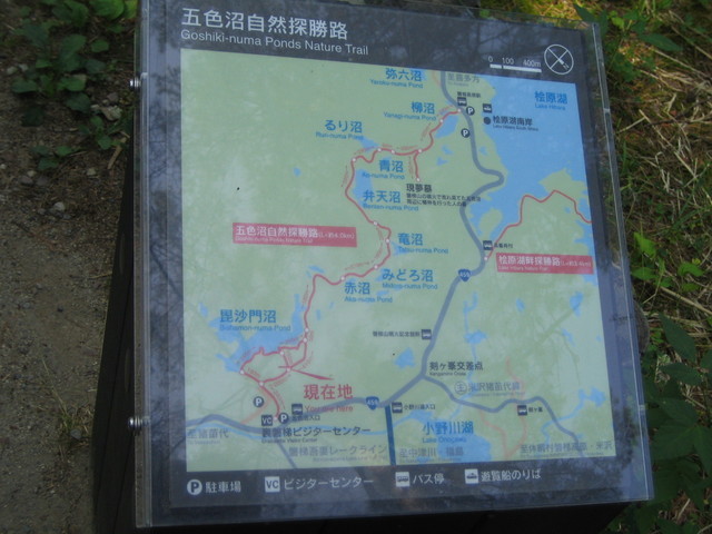 ���Ԃ낣�̕���