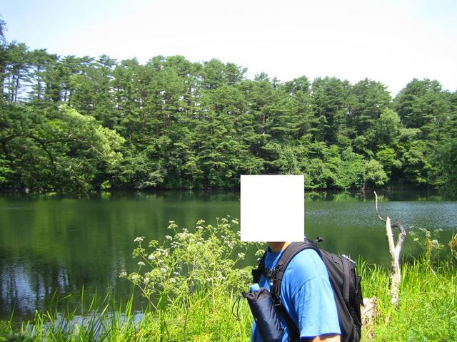 ���Ԃ낣�̕���