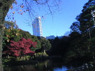 ���Ԃ낣�̕���