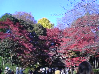 ���Ԃ낣�̕���