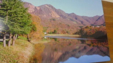 ���Ԃ낣�̕���