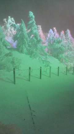 ���Ԃ낣�̕���