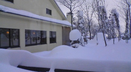 ���Ԃ낣�̕���