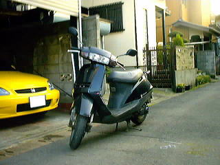 ���Ԃ낣�̕���