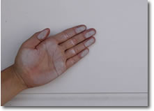 �h���K���h���Ƃ̌��N���ێ�����z�[���A�h�o�C�U�[