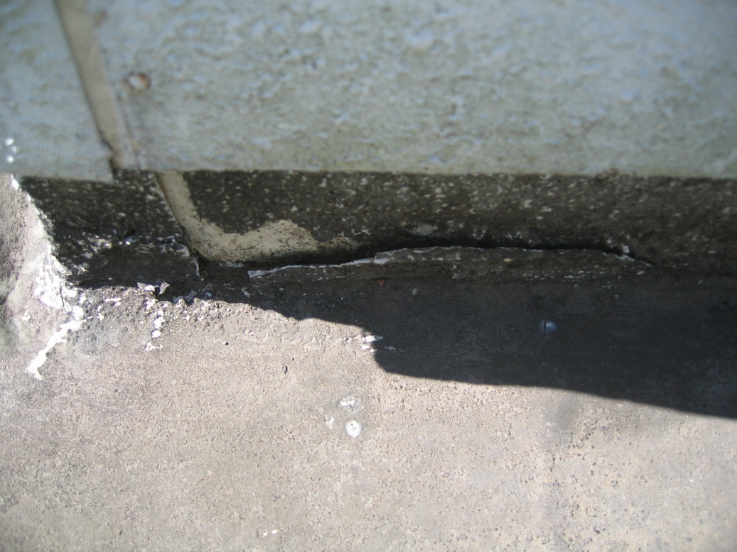 �h���K���h���Ƃ̌��N���ێ�����z�[���A�h�o�C�U�[