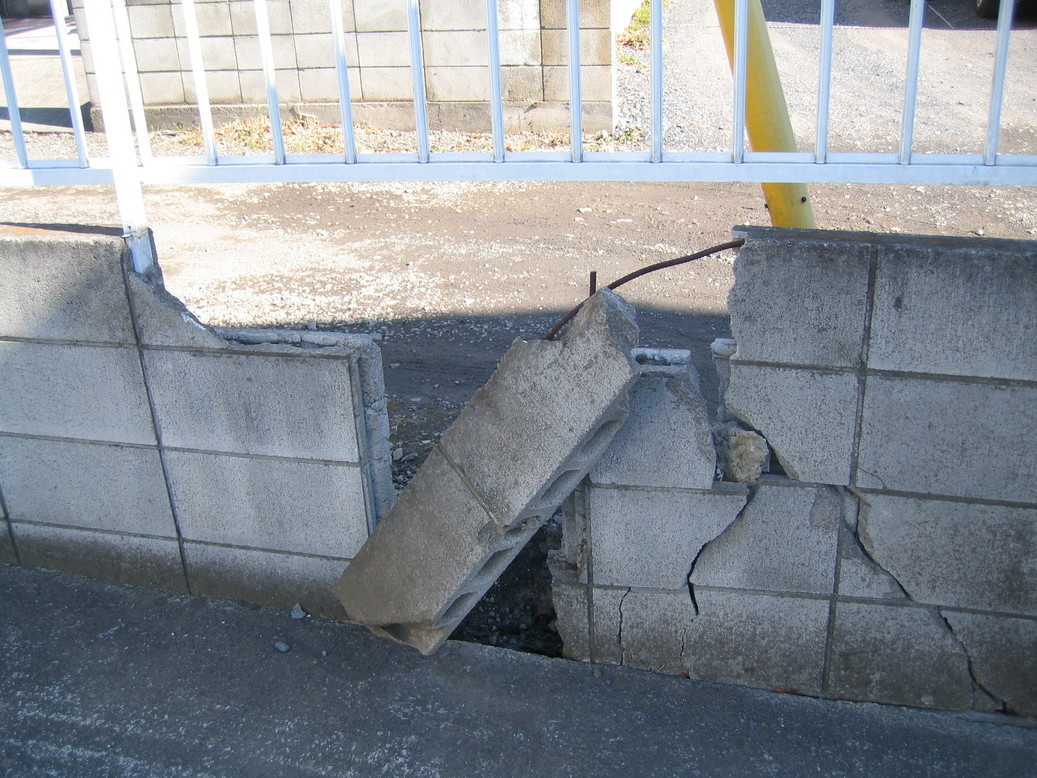 �h���K���h���Ƃ̌��N���ێ�����z�[���A�h�o�C�U�[