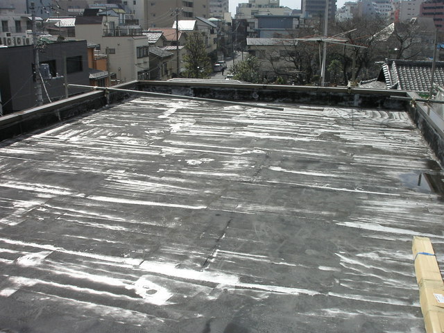 �h���K���h���Ƃ̌��N���ێ�����z�[���A�h�o�C�U�[