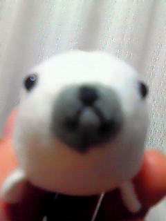 o*߁B��������o*߁B