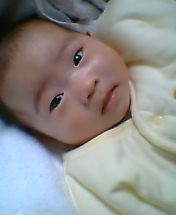 �`�v�`�O�`�v�`  AWARDS