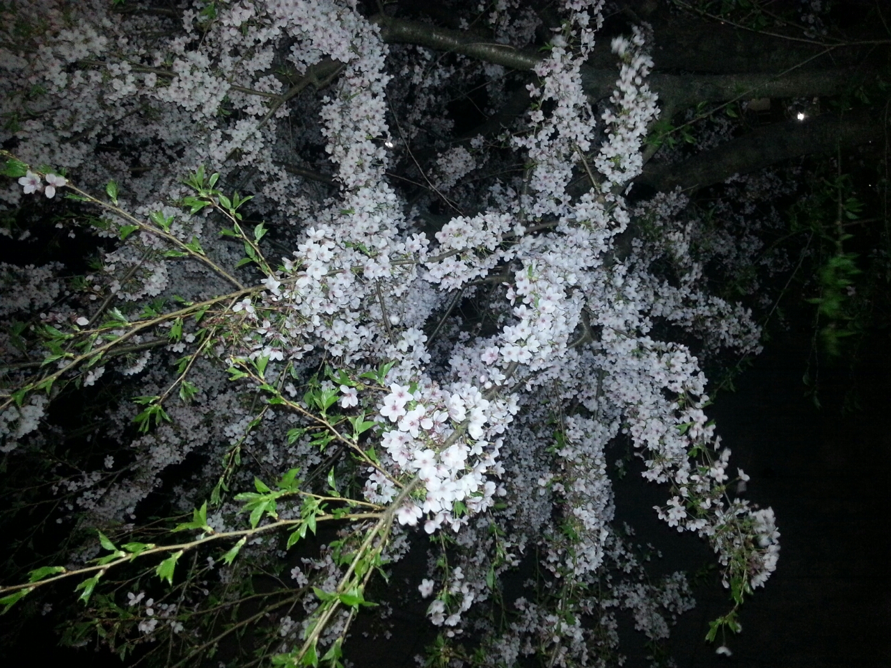 ЂƂ育