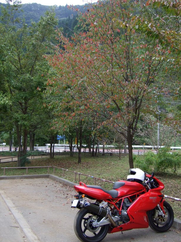 �Â��߂������