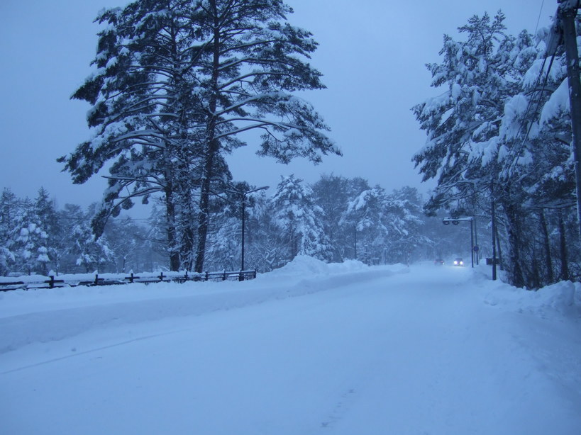 �Â��߂������