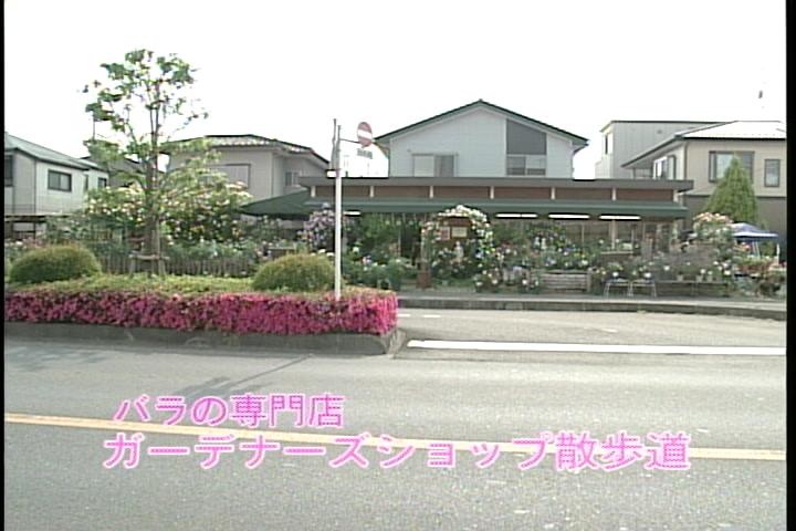 �����񂸂r�g�n�o�Љ�X��������