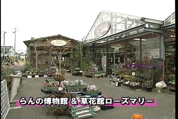 �����񂸂r�g�n�o�Љ�X��������