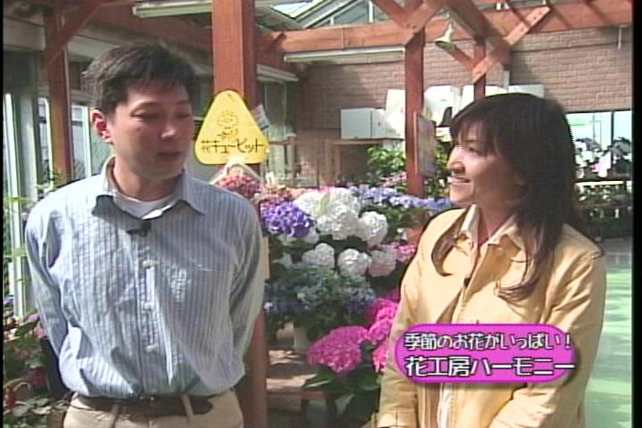 �����񂸂r�g�n�o�Љ�X��������