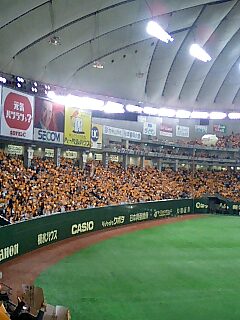 �~�X�^�[�@�������[