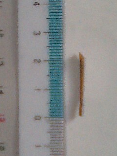 �~�X�^�[�@�������[