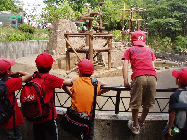 �~�X�^�[�@�������[