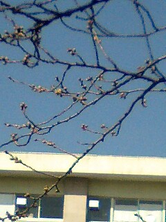 �~�X�^�[�@�������[