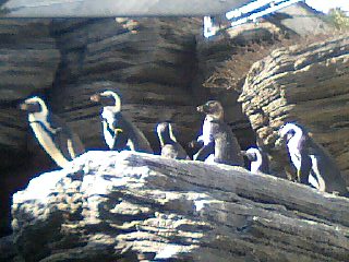 �~�X�^�[�@�������[