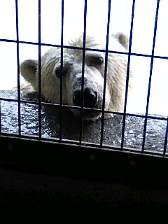 �~�X�^�[�@�������[