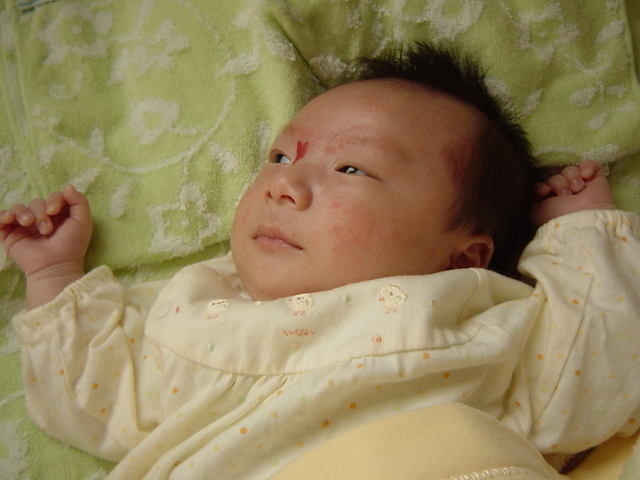 ���b�w��ȃ^���ƂȂÃN���H�x�̐킢�H�I