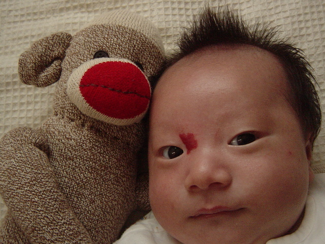 ���b�w��ȃ^���ƂȂÃN���H�x�̐킢�H�I