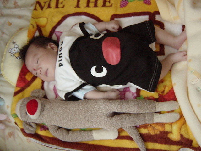 ���b�w��ȃ^���ƂȂÃN���H�x�̐킢�H�I