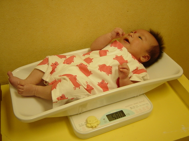 ���b�w��ȃ^���ƂȂÃN���H�x�̐킢�H�I