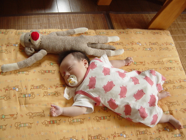 ���b�w��ȃ^���ƂȂÃN���H�x�̐킢�H�I