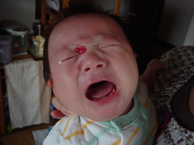 ���b�w��ȃ^���ƂȂÃN���H�x�̐킢�H�I